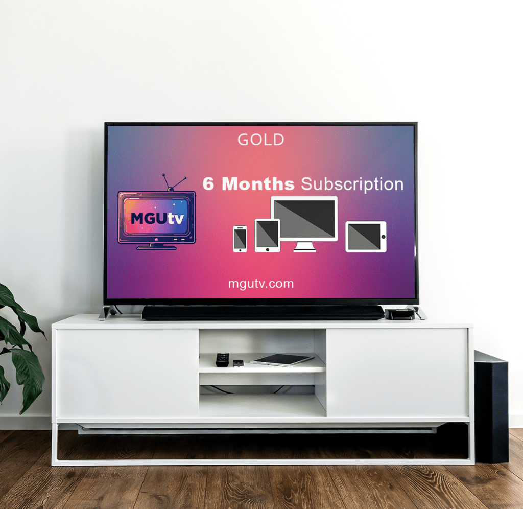 6 months iptv